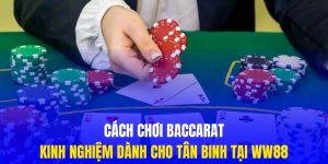 Thumb cách chơi baccarat